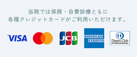 お支払いにクレジットカードがご利用いただけます